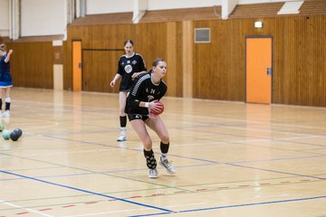 Bild 114 - wAJ TSV Ellerau - HSG Pinnau : Ergebnis: 28:13